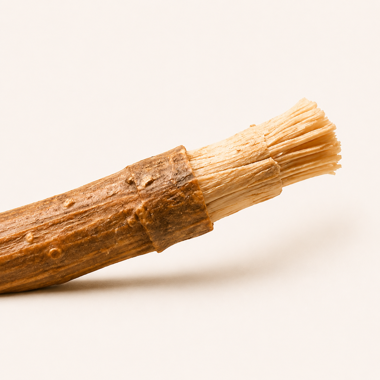 Peeling the bark from a miswak stick